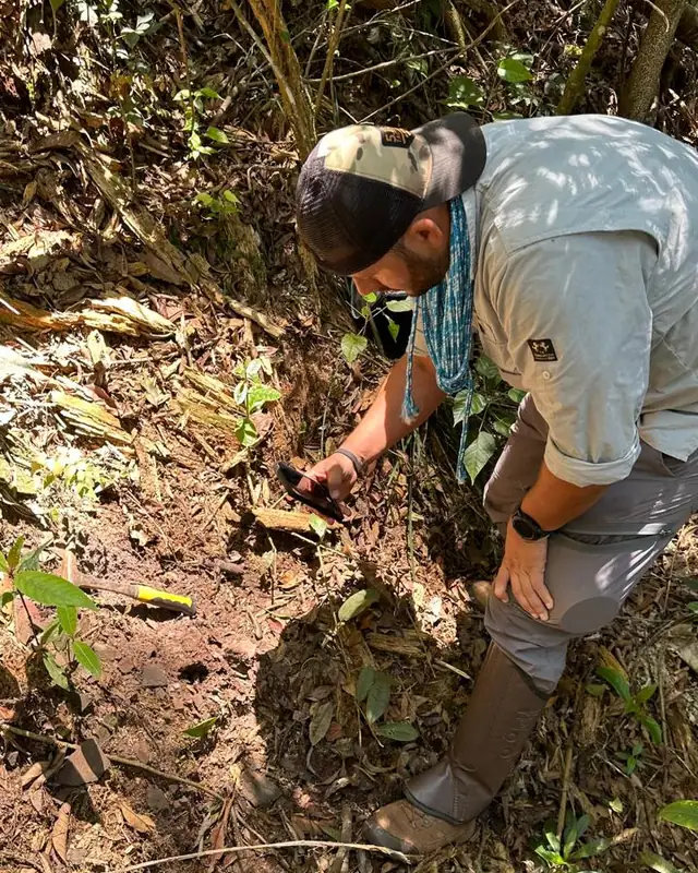 Integrante da equipe agachado entre a vegetação, examinando o solo