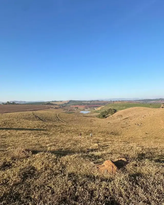 Colinas cobertas de pasto, com lavouras ao fundo, sob céu azul
